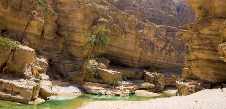Voyage sur-mesure, Randonnée et baignade au Wadi Bani Khalid à Oman