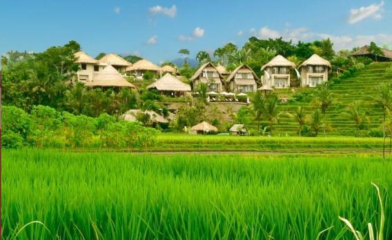 Voyage sur-mesure, Villas et bungalows surplombant les rizières