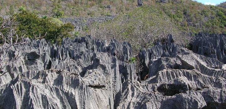Voyage sur-mesure, Découvrez le nord de Madagascar : Baies colorées, tsingy, lémuriens et plantations