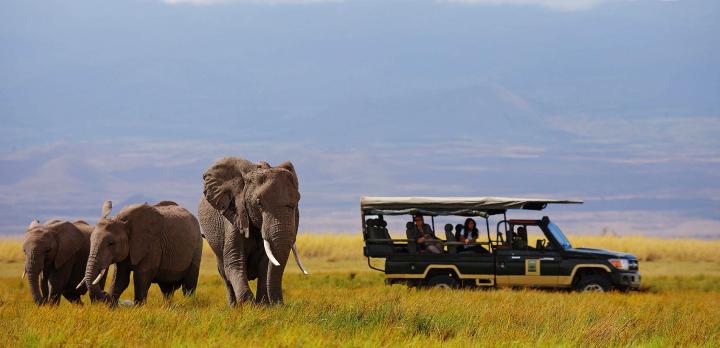 Voyage sur-mesure, L'essentiel des parcs de Tanzanie en safari