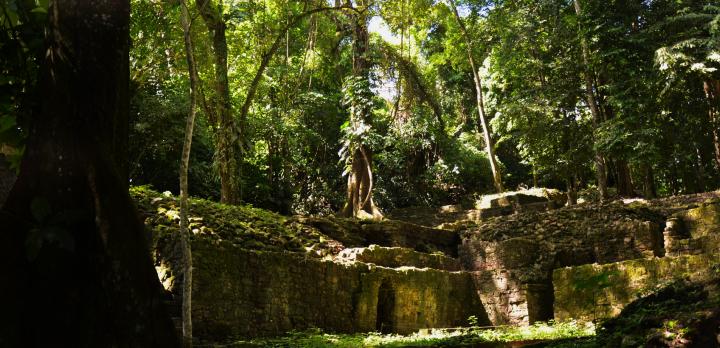 Voyage sur-mesure, Le Yucatan en famille, sites archéologiques et réserves naturelles