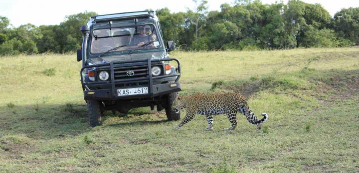 Voyage sur-mesure, Safari au Kenya en petit groupe
