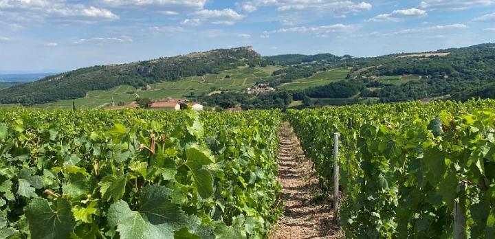 Voyage sur-mesure, Du Beaujolais au Mâconnais, menez la vie de chateau sur la route des vins !
