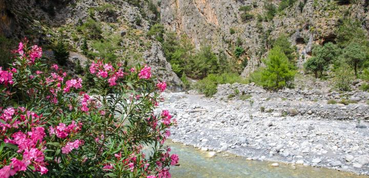 Voyage sur-mesure, La Crète active : Au coeur de la nature, randonnées et kayak