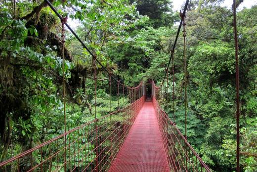 Voyage sur-mesure, Monteverde (Réserve Biologique)