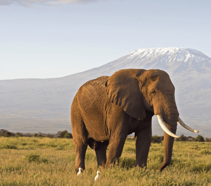 Voyage sur-mesure, Quel itinéraire pour grimper sur le Kilimandjaro ?